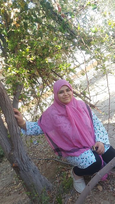 نوشین سیف