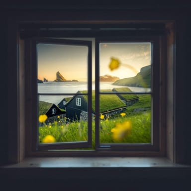 روژین ناصری