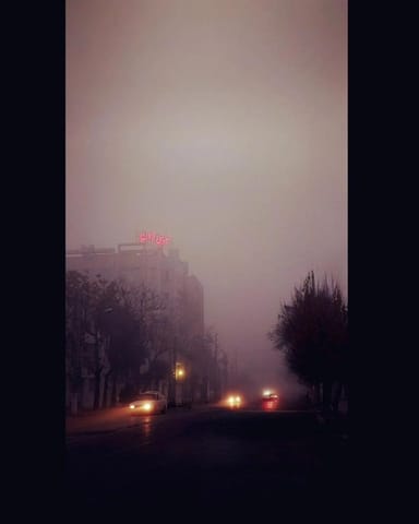 ساناز زبرشاهی